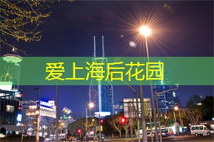 上海后花园论坛：呼唤大自然，探索上海后花园的奇幻之旅