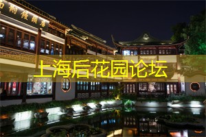 上海后花园论坛：该怎么做呢？理想与现实