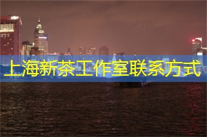 上海各区新茶工作室：上海论坛为你解密：城市发展秘笈大公开！